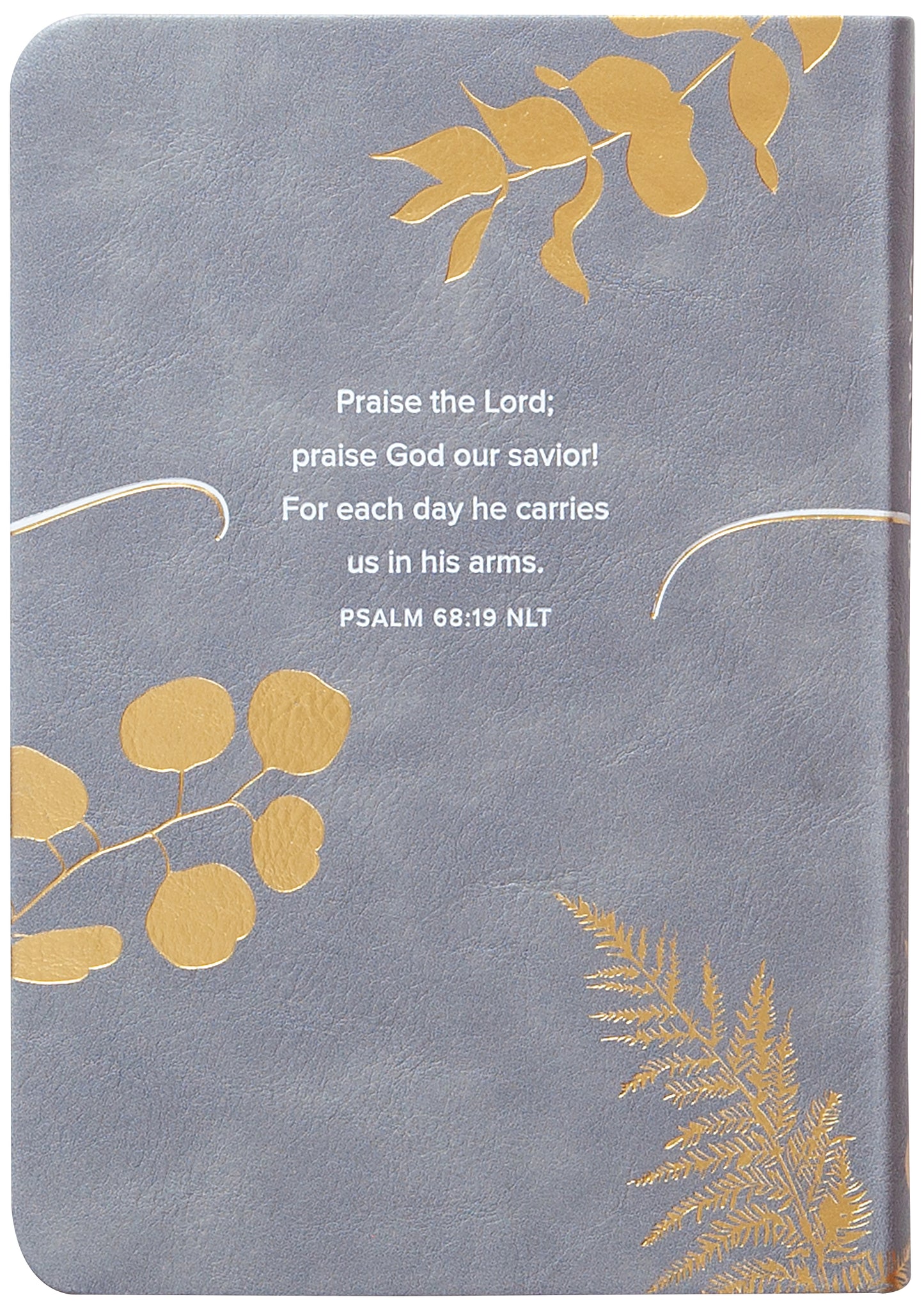 CASE (40 Books): Grace to Grow Devotional