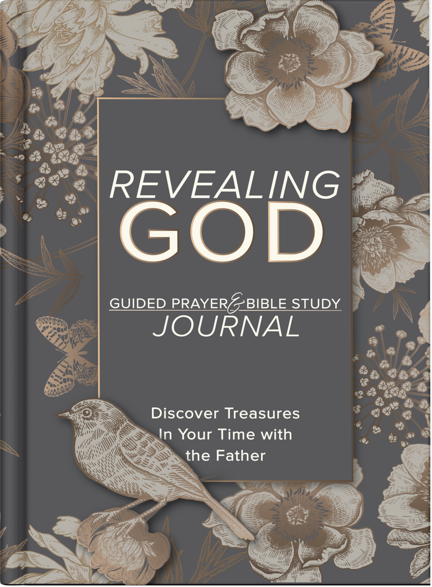 Revealing God Journal